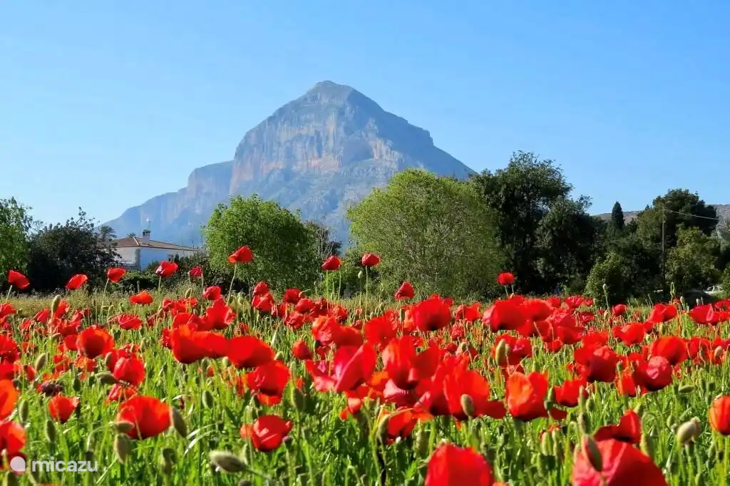 10 minutes de Finca Vuyatela