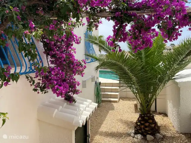 La Caracola - Piscine privée | Espagne, Costa Blanca, Benitachell - maison de vacances