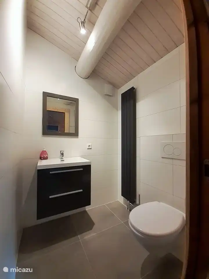 geräumiger Toilettenraum