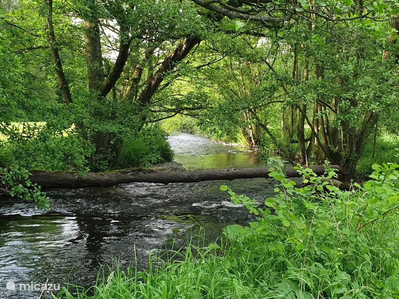 die Diemel im Sommer