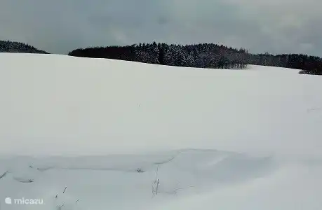 Blick auf den Winter 2019 in 10 Minuten zu Fuß