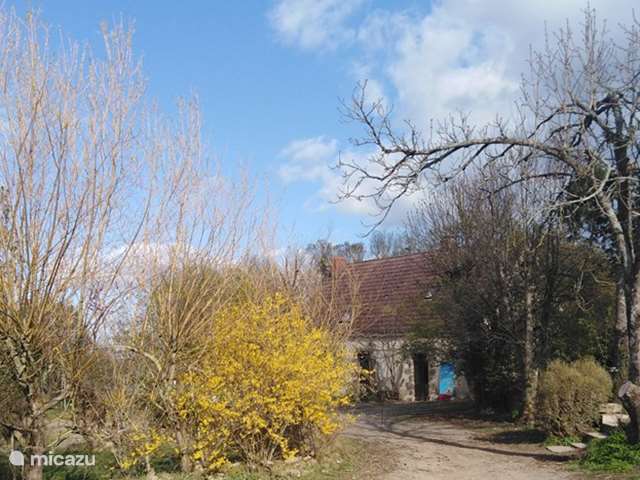 Holiday home in France, Indre, Sarzay - terraced house Trefle ferme d'Hélice