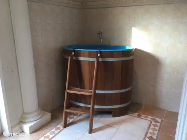 villa en Países Bajos, Güeldres, Beekbergen – La casa del estanque de Veluwe - ÚLTIMA HORA Refréscate en el barril de agua fría, para esos resistentes…!