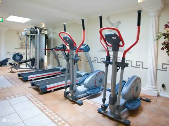 villa en Países Bajos, Güeldres, Beekbergen – La casa del estanque de Veluwe - ÚLTIMA HORA Por supuesto, el equipo de fitness también está disponible en el área de bienestar. ¡Eso será inflado, pero con la garantía de una condición aguda! A eso vamos…