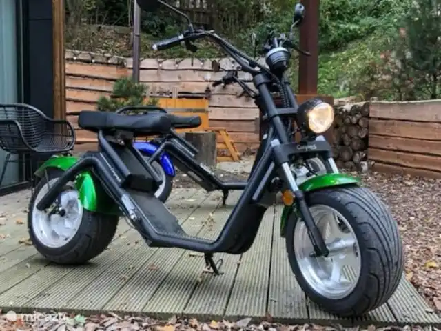 villa en Países Bajos, Güeldres, Beekbergen – La casa del estanque de Veluwe - ÚLTIMA HORA ¡Con un E-chopper alquilado en el parque puedes descubrir el área de una manera relajada y respetuosa con el medio ambiente!