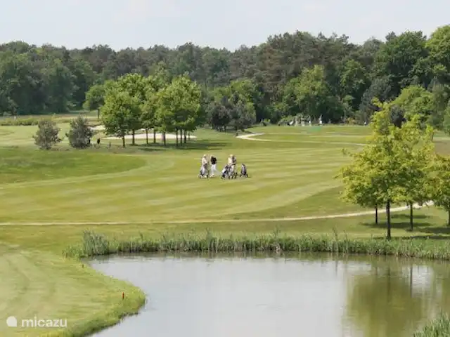 villa en Países Bajos, Güeldres, Beekbergen – La casa del estanque de Veluwe - ÚLTIMA HORA El club de golf y negocios De Scherpenbergh está a 2 km.