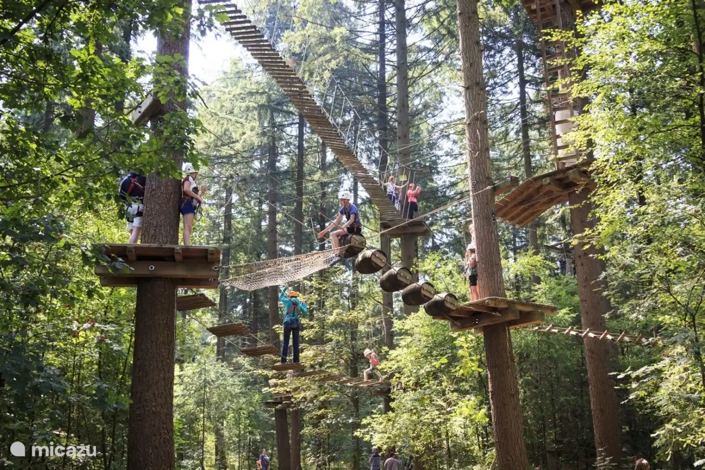 Tolles Abenteuer! Wählen Sie selbst eine Kletterroute und bestimmen Sie, wie hoch Sie gehen möchten. Die Routen werden mit Höhen von 2 bis nicht weniger als 18 Metern immer schwieriger. Bungee, freier Fall, Reißverschluss, große Netze, alles da! Der perfekte Tag! https://klimbos.nl/klimbos-veluwe/