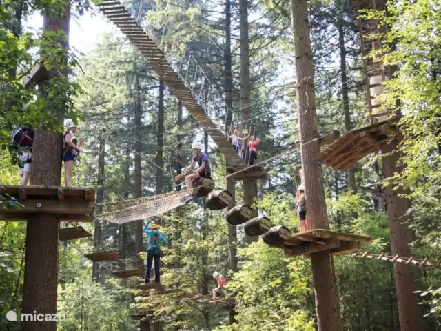 villa en Países Bajos, Güeldres, Beekbergen – La casa del estanque de Veluwe - ÚLTIMA HORA ¡Loca aventura! Elige tu propia ruta de escalada y determina qué tan alto quieres llegar. Las rutas van aumentando en dificultad, con alturas desde 2 hasta nada menos que 18 metros. Bungee, caída libre, tirolesa, grandes redes, ¡todo está aquí! ¡El día perfecto! https://klimbos.nl/klimbos-veluwe/