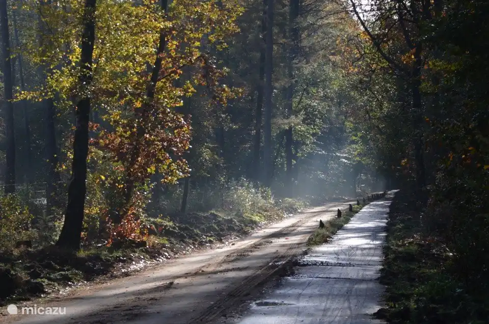 Zurück mit beiden Füßen auf dem Boden! Von unserem Haus aus können Sie direkt in den Wald laufen oder Rad fahren. Kilometerlange Wander- und Radwege laden Sie ein, vom Morgengrauen an entdeckt zu werden!