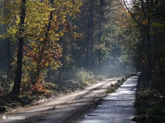 villa en Países Bajos, Güeldres, Beekbergen – La casa del estanque de Veluwe - ÚLTIMA HORA ¡De vuelta con los dos pies en el suelo! Desde nuestra casa puede caminar o andar en bicicleta directamente hacia el bosque. ¡Kilómetros de senderos para caminar y andar en bicicleta te invitan a ser descubierto desde el amanecer!
