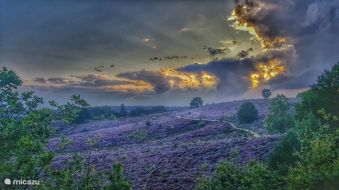 Und wenn Sie bis zum Sonnenuntergang herumhängen, um das Ganze abzurunden - mit etwas Glück - werden Sie ein solches Spektakel sehen! (Foto: Anita Kortus)