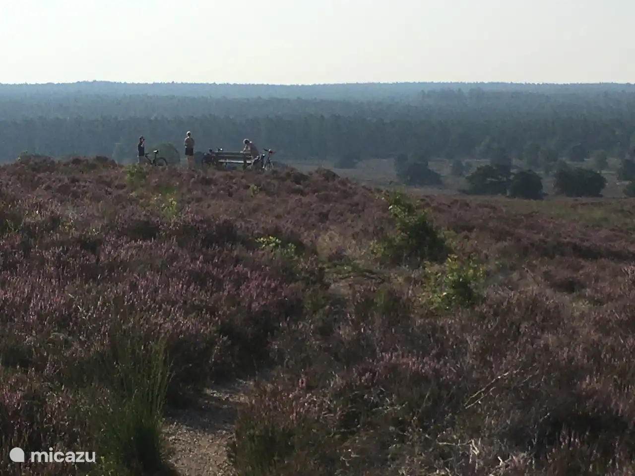 Ein verstecktes Juwel mit einem fantastischen Panoramablick! Sie können es auf der Zilvense-Heide entlang eines Wander- / Mountainbikewegs in der Vogelperspektive irgendwo zwischen den Radknotenpunkten 32 und 96 entdecken. Wer sucht es?