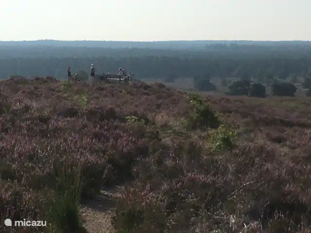 villa en Países Bajos, Güeldres, Beekbergen – La casa del estanque de Veluwe - ÚLTIMA HORA ¡Una joya escondida, con fantásticas vistas panorámicas! Puede descubrirlo en Zilvense heide, a lo largo de un sendero para caminar/bicicleta de montaña, a vista de pájaro en algún lugar entre los cruces ciclistas 32 y 96. ¡Quien busque lo encontrará!