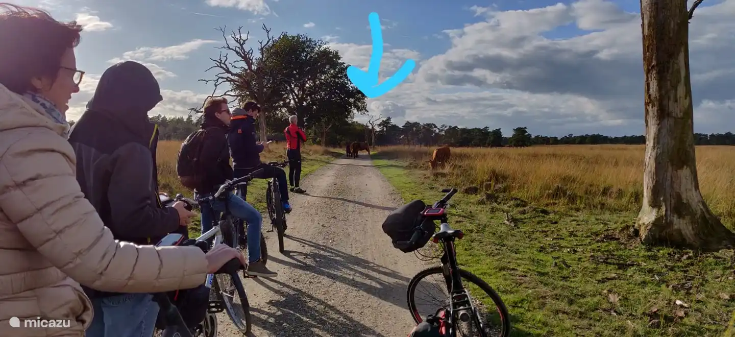 Manchmal nehmen sie einfach den Radweg und man muss darauf treten. Das Recht der Stärksten ...!
