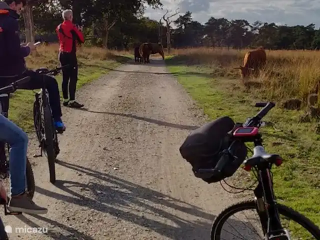 villa en Países Bajos, Güeldres, Beekbergen – La casa del estanque de Veluwe - ÚLTIMA HORA A veces simplemente toman el carril bici y hay que rodearlo andando. ¡El derecho del más fuerte...!