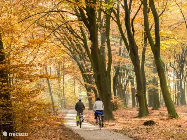 villa en Países Bajos, Güeldres, Beekbergen – La casa del estanque de Veluwe - ÚLTIMA HORA El otoño siempre ofrece escenas de cuento de hadas y un enorme despliegue de colores en Veluwe. ¡Eso hace que una persona esté completamente drogada!