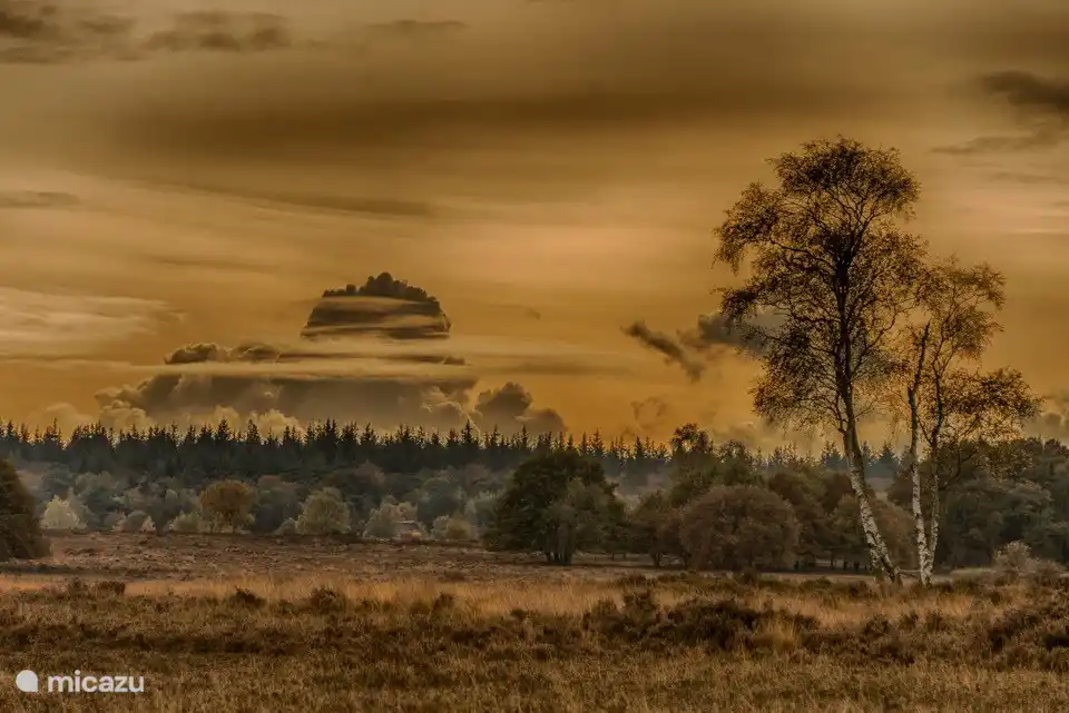 Mit den folgenden Bildern können Sie bereits von Ihrem nächsten Urlaub träumen ...