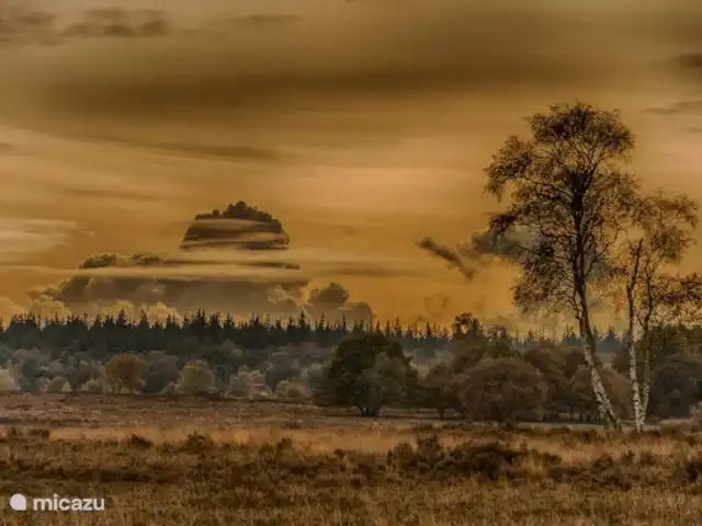 villa en Países Bajos, Güeldres, Beekbergen – La casa del estanque de Veluwe - ÚLTIMA HORA Con las siguientes imágenes en mente, ya puedes soñar con tus próximas vacaciones...