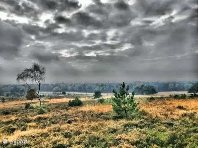 villa en Países Bajos, Güeldres, Beekbergen – La casa del estanque de Veluwe - ÚLTIMA HORA El Veluwe