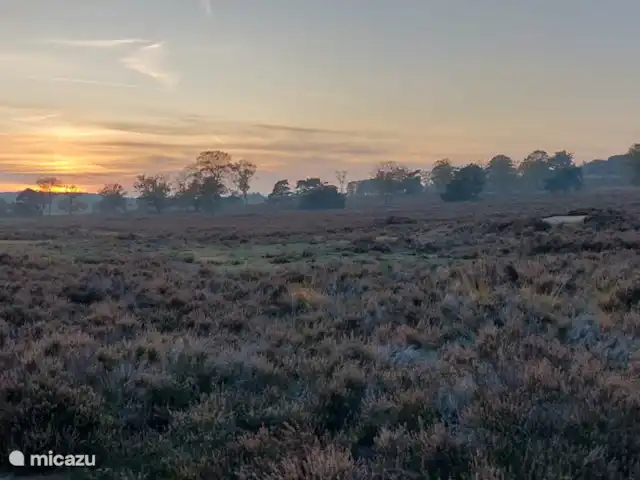 villa en Países Bajos, Güeldres, Beekbergen – La casa del estanque de Veluwe - ÚLTIMA HORA Disfrutando de una hermosa puesta de sol en un banco en Zilvense heide, justo antes del cruce 96. ¡Lo mejor de unas vacaciones relajantes!