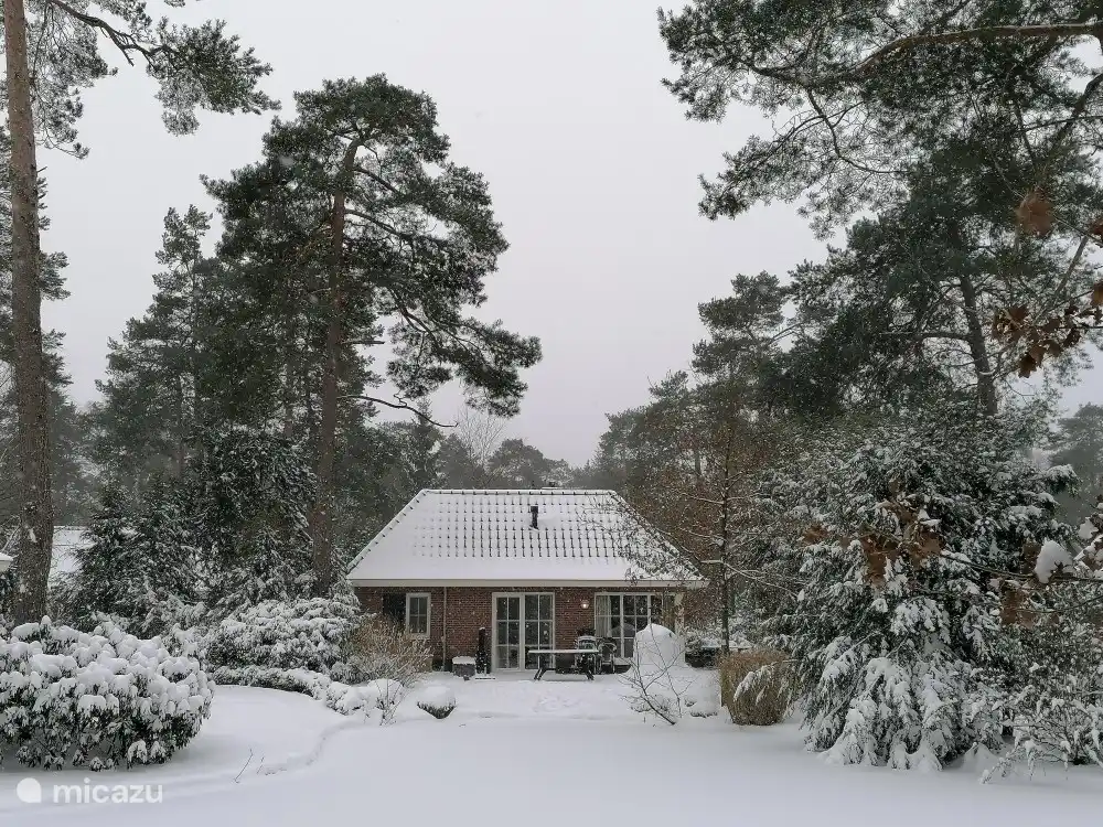 Und vielleicht wachst du morgens mit diesem Bild auf! Wir sehen uns in unserem gemütlichen Veluwe Pond House ...