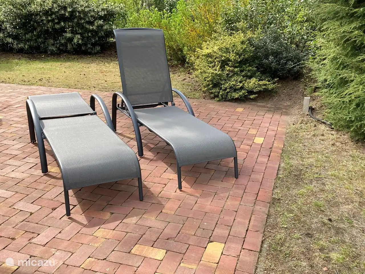 Oder lügen! Ideal zum Entspannen oder Sonnenbaden auf unseren Sonnenliegen!