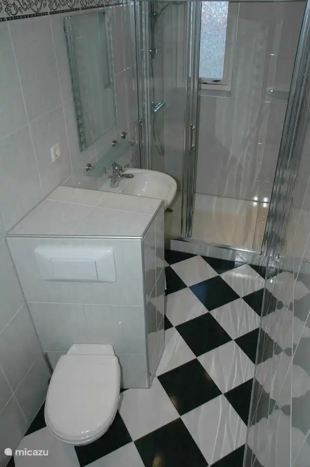 WC, Dusche und Waschbecken.