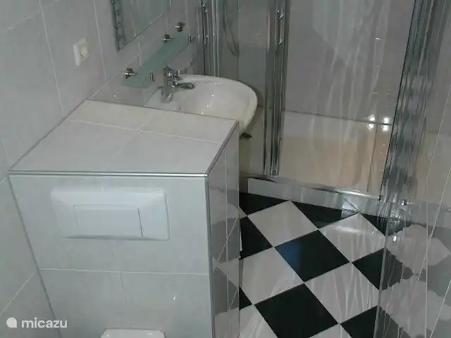 casa vacacional en Países Bajos, Güeldres, Empe – Casa de vacaciones el valle de IJssel WC, ducha y lavabo.