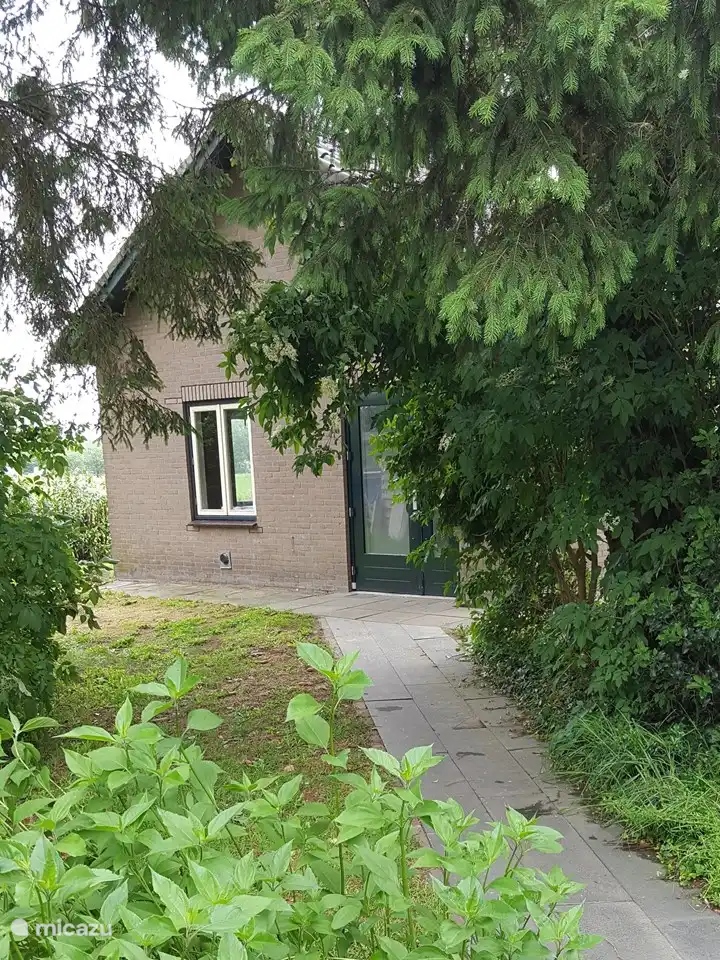 Gefliester Weg zur Eingangstür.