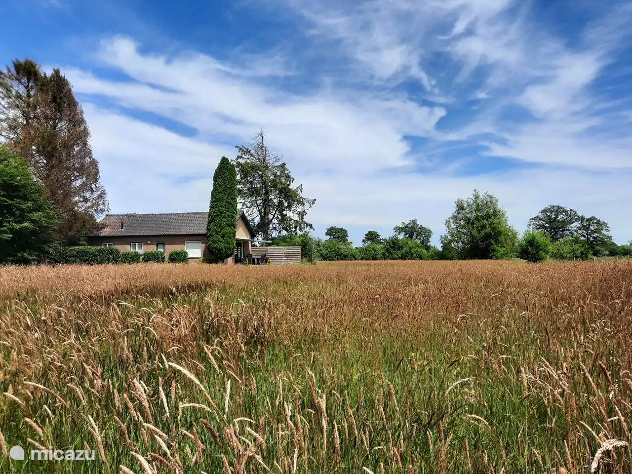 Ferienhaus de IJselvallei 
Es ist Sommer