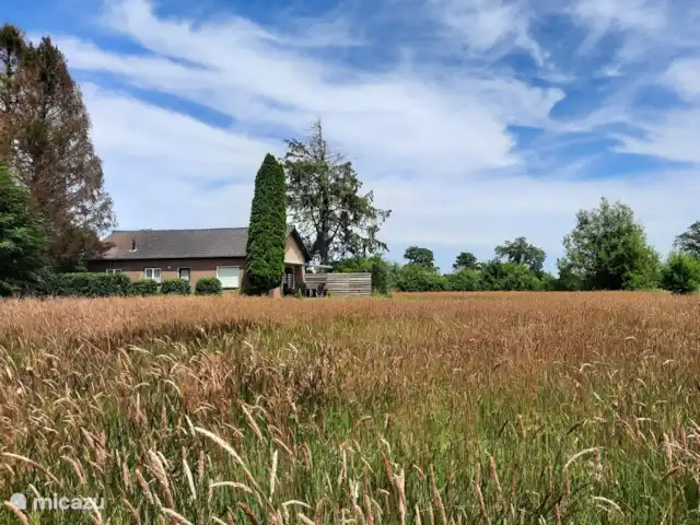 casa vacacional en Países Bajos, Güeldres, Empe – Casa de vacaciones el valle de IJssel Casa de vacaciones de IJselvallei 
Es verano