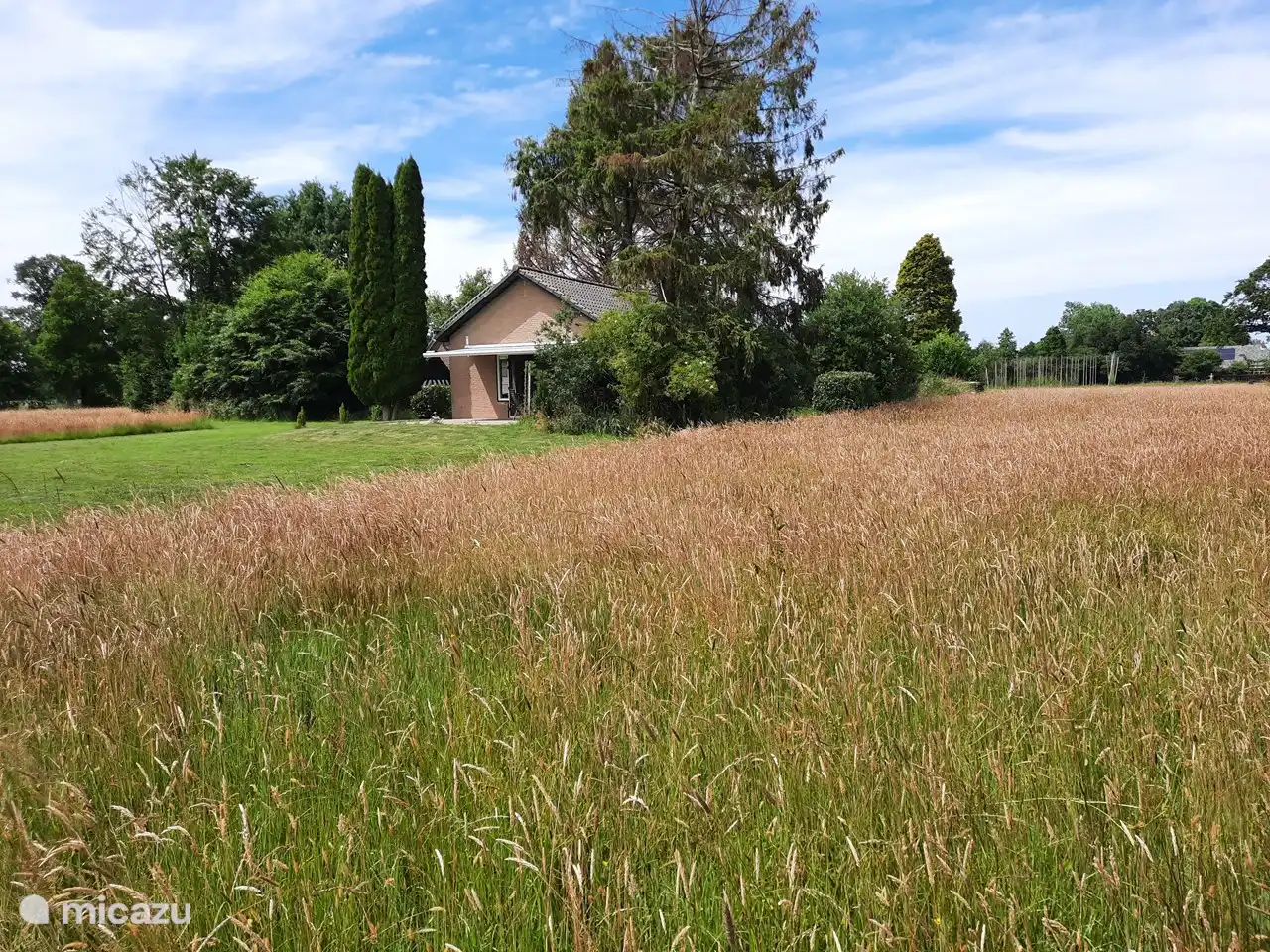 Ferienhaus de IJsselvallei.  
Mit Terrasse auf der Sonnenseite