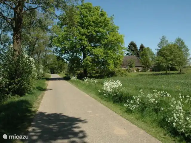 casa vacacional en Países Bajos, Güeldres, Empe – Casa de vacaciones el valle de IJssel Calle Hommel