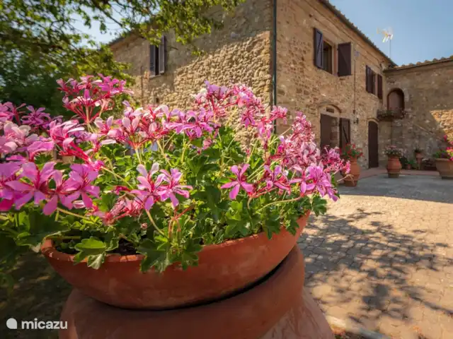 vakantiehuis huren in Italië, Toscane, Casole d`Elsa – Appartement Gelso - Monti 1824  - Monti 1824 -