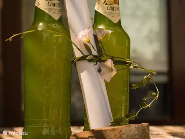 vakantiehuis huren in Italië, Toscane, Casole d`Elsa – Appartement Gelso - Monti 1824  - Monti 1824 -