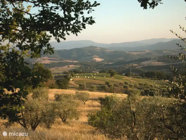 vakantiehuis huren in Italië, Toscane, Casole d`Elsa – Appartement Gelso - Monti 1824  - Monti 1824 -