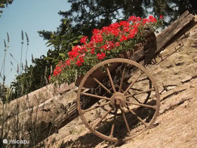 vakantiehuis huren in Italië, Toscane, Casole d`Elsa – Appartement Gelso - Monti 1824  - Monti 1824 -