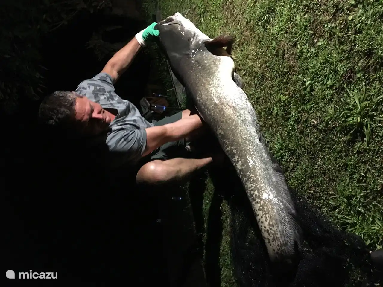 caught catfish of 163 cm