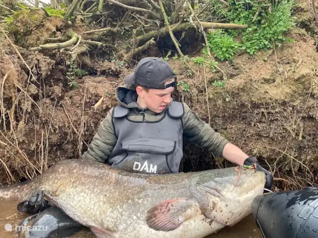 Location de Vacances France, Lot-et-Garonne, Le Temple-sur-Lot, gîte / cottage - Chez Jan et Nicole - Gîte Issac . Whopper d’un poisson-chat, trop lourd pour être tiré sur le rivage