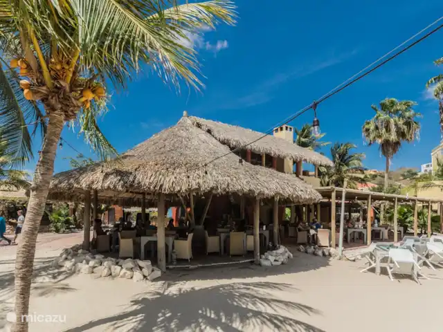 Vue sur l'océan 20 | Blue Bay | | Curaçao, Curaçao-Centre, Blue Bay - villa Le restaurant Azzurro sert le déjeuner et le dîner sur la plage et sur la terrasse