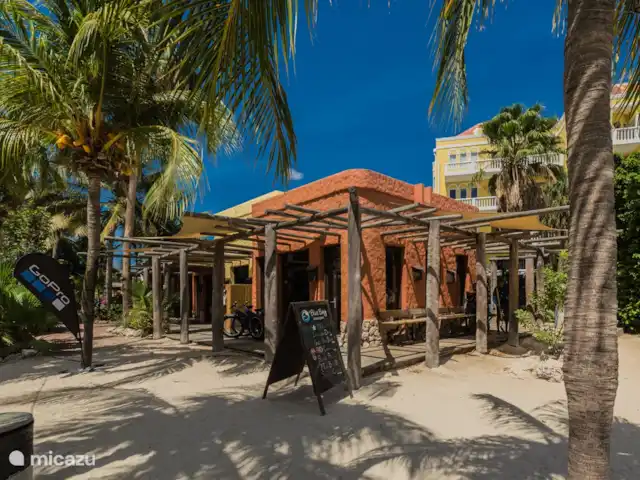 Vue sur l'océan 20 | Blue Bay | | Curaçao, Curaçao-Centre, Blue Bay - villa L'école de plongée certifiée PADI propose d'innombrables formations, formations et excursions. Du débutant au moniteur, vous pouvez venir plonger sur les 2 grands récifs de Blue Bay.