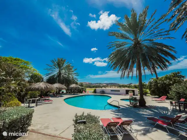 Vue sur l'océan 20 | Blue Bay | | Curaçao, Curaçao-Centre, Blue Bay - villa La piscine vous offre fraîcheur dans un cadre tropical.