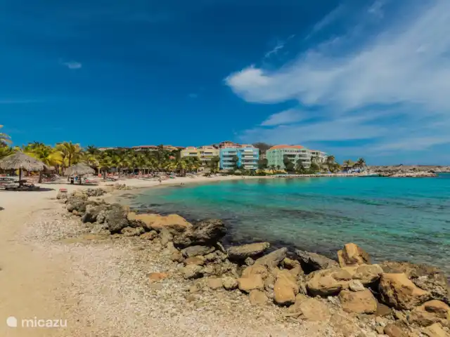 Vue sur l'océan 20 | Blue Bay | | Curaçao, Curaçao-Centre, Blue Bay - villa The Blue Bay (Blauwbaai) - exclusivement accessible aux clients Blue Bay avec Beach Pass (fourni gratuitement aux clients Ocean View 20)
