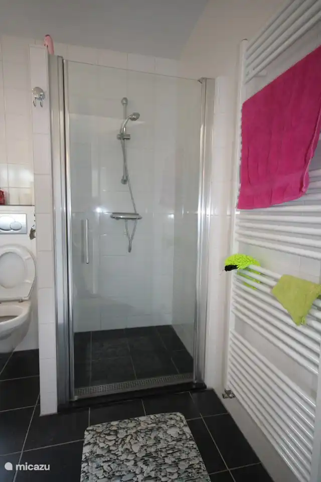 Badezimmer im Erdgeschoss 2