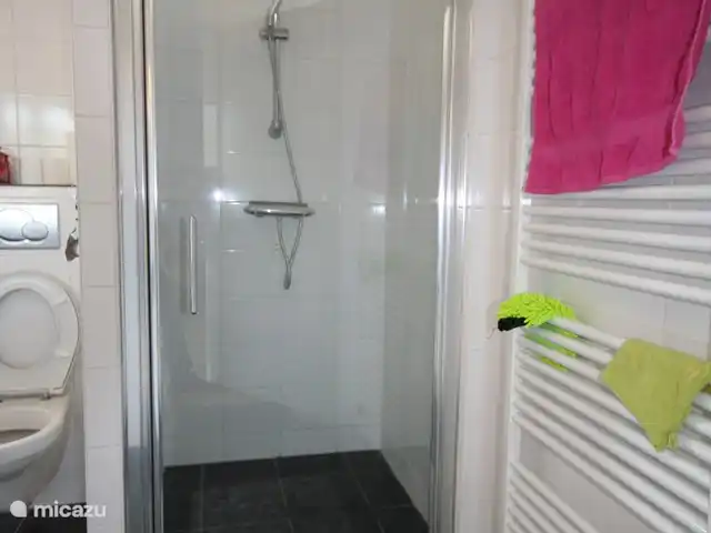 Villa Eco de Quatre Saisons en Francia, Altos Alpes, Guillestre - villa baño de abajo 2