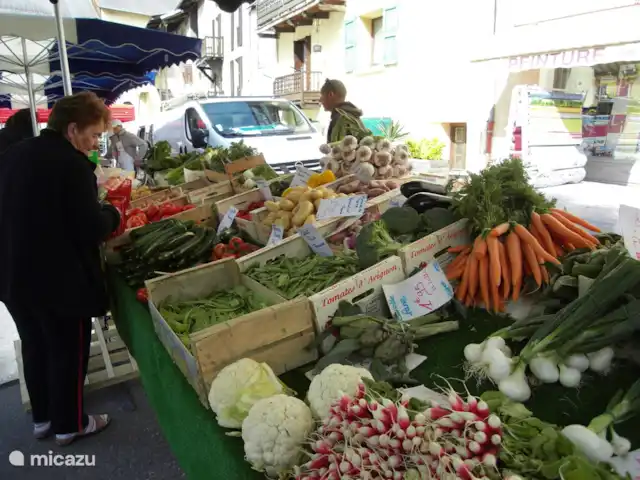 Villa Eco de Quatre Saisons en Francia, Altos Alpes, Guillestre - villa Mercado de los lunes de Guillestre