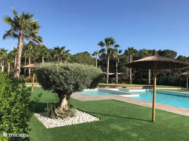 Casita Guardamar en España, Costa Blanca, Guardamar del Segura - penthouse Piscina