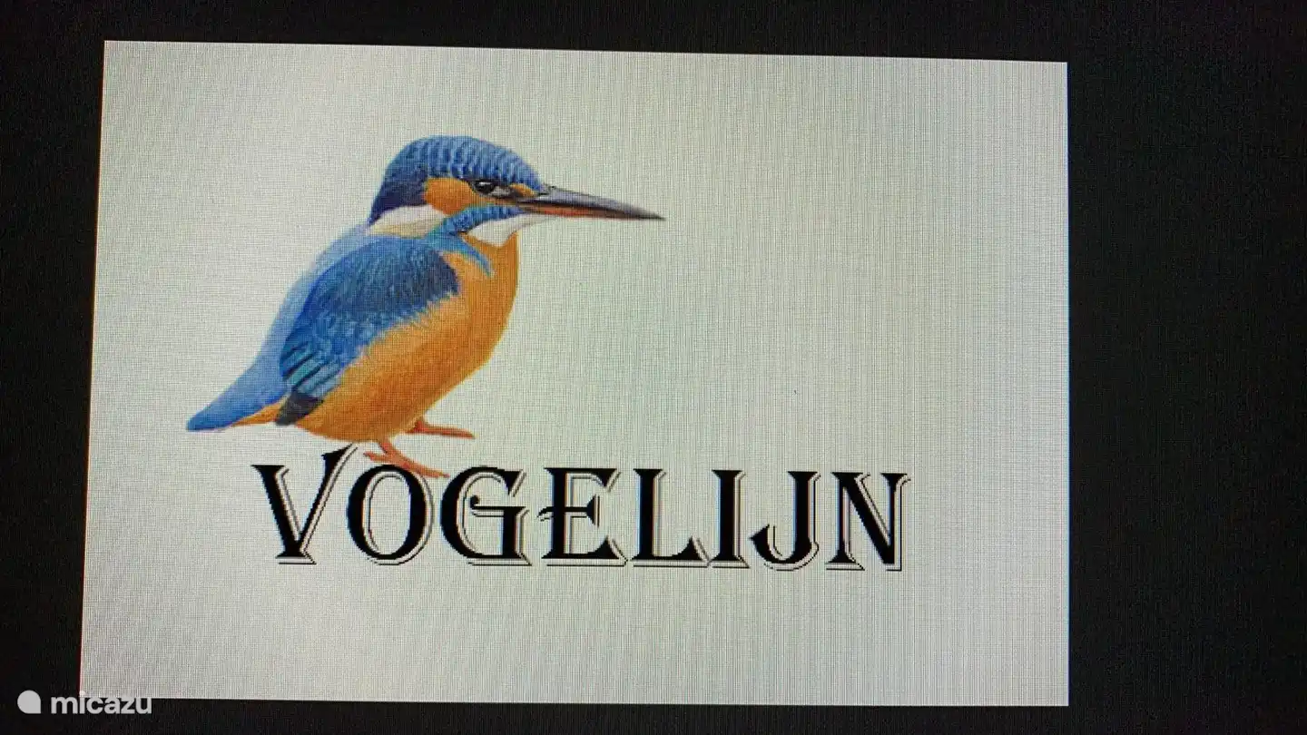 Le bungalow s'appelle Vogelijn (petit oiseau, poétiquement), voir aussi le drapeau du bungalow