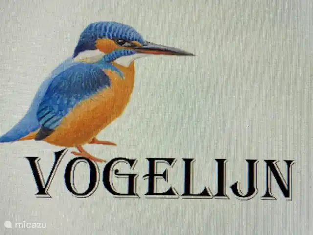 Confort-Bungalow Bird Line, Martin-pêcheur | Pays-Bas, Gueldre, Voorthuizen - bungalow Le bungalow s'appelle Vogelijn (petit oiseau, poétiquement), voir aussi le drapeau du bungalow