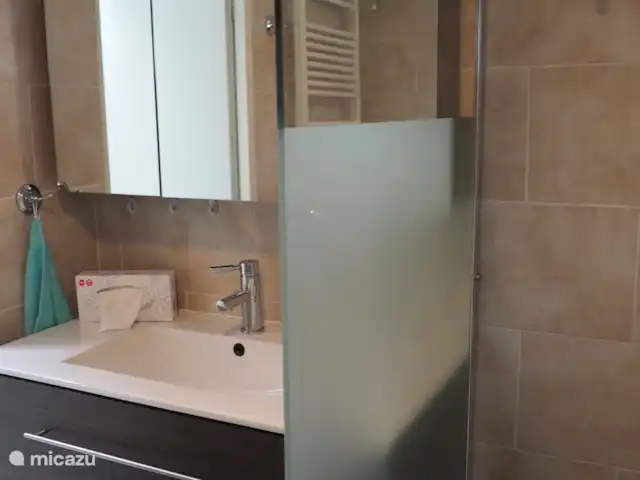 Confort-Bungalow Bird Line, Martin-pêcheur | Pays-Bas, Gueldre, Voorthuizen - bungalow Lavabo spacieux avec armoire miroir à côté de la douche avec entrée basse.